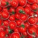 FUNTASTY Strawberry Gummy Candy  30 Count  19 Oz Jar  Jelly Filled Gummies  Individually Wrapped Gummy Balls Candy  Party Favor Candy for Goodie Bags  Fun Treats - Image 4