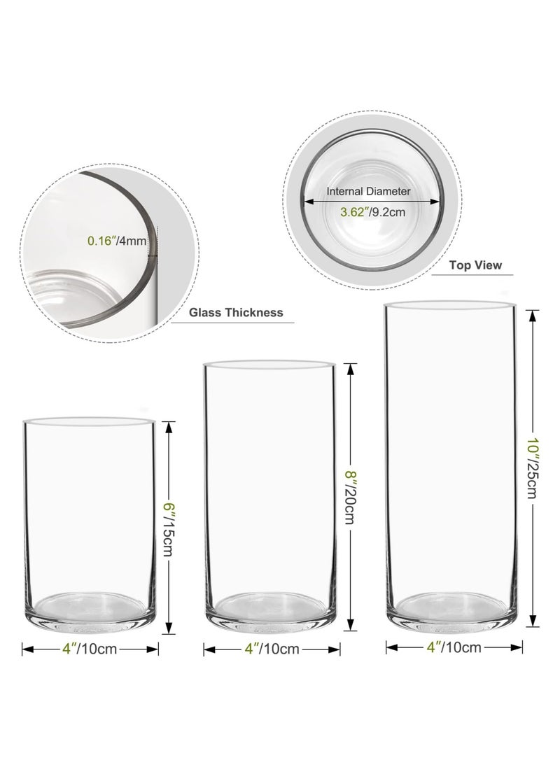 Mash BIGIVACA Set of 3 Clear Glass Cylinder Vases Bulk,6 8 10 inch-3 pack Tall Glass Cylinder Candle Holders,Glass Plant & Flower Vases for Centerpieces,Home and Wedding Decoreation. (W:4’)  - Image 5