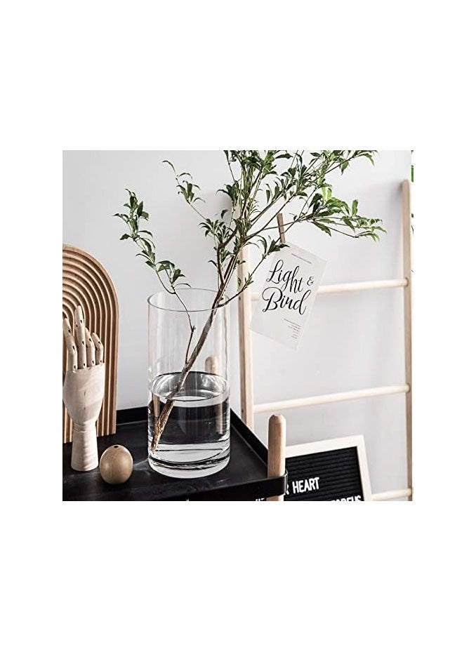 Mash BIGIVACA Set of 3 Clear Glass Cylinder Vases Bulk,6 8 10 inch-3 pack Tall Glass Cylinder Candle Holders,Glass Plant & Flower Vases for Centerpieces,Home and Wedding Decoreation. (W:4’)  - Image 2