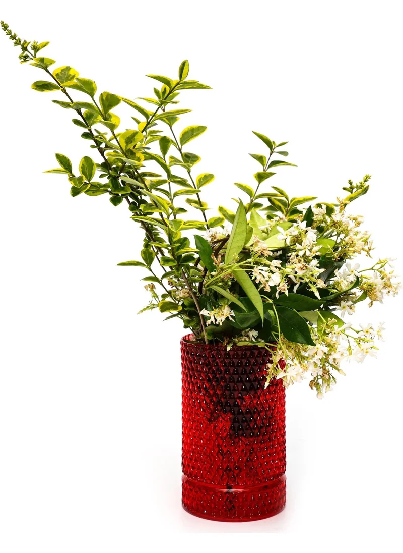 ميسي Red Diamond Glass Vase/candle holder(17 Cm)