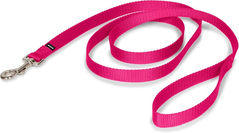 PetSafe Leash, 3/4" x 6', Medium, Raspberry Pink - Image 1
