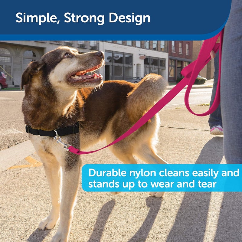 PetSafe Leash, 3/4" x 6', Medium, Raspberry Pink - Image 4