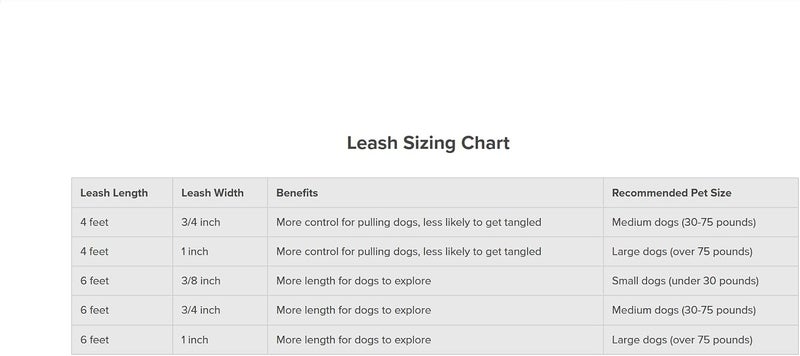PetSafe Leash, 3/4" x 6', Medium, Raspberry Pink - Image 5