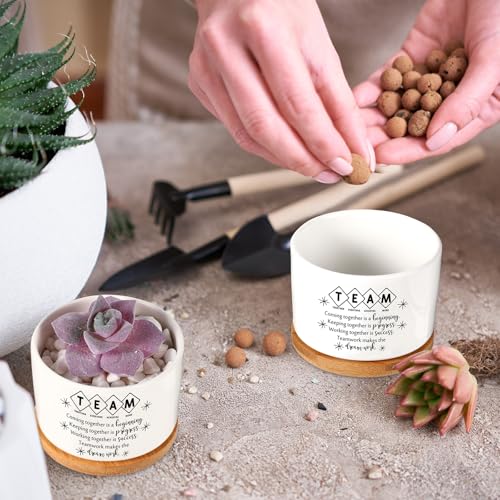 SEEWEY 12 Pcs Employee Appreciation Inspirational Succulent Pots Gifts Bulk for Women Coworker Teacher Small Ceramic Plant Pots with Bamboo Trays for Office Staff Group Graduation(Team) - Image 4