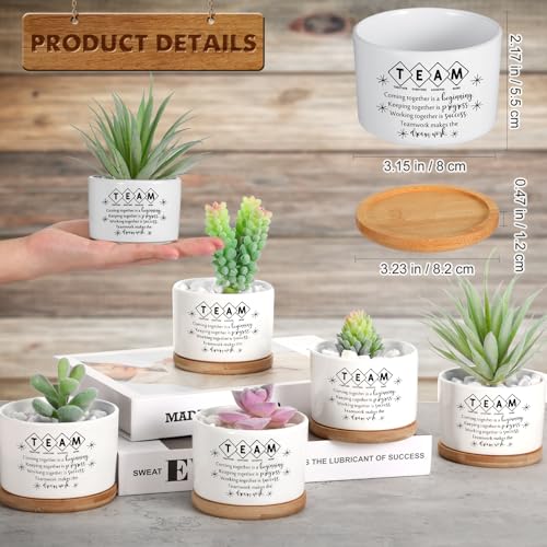 SEEWEY 12 Pcs Employee Appreciation Inspirational Succulent Pots Gifts Bulk for Women Coworker Teacher Small Ceramic Plant Pots with Bamboo Trays for Office Staff Group Graduation(Team) - Image 2