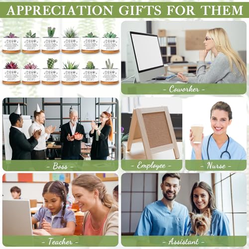 SEEWEY 12 Pcs Employee Appreciation Inspirational Succulent Pots Gifts Bulk for Women Coworker Teacher Small Ceramic Plant Pots with Bamboo Trays for Office Staff Group Graduation(Team) - Image 5