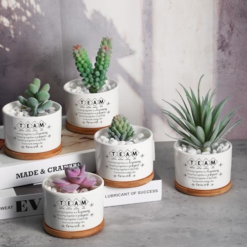 SEEWEY 12 Pcs Employee Appreciation Inspirational Succulent Pots Gifts Bulk for Women Coworker Teacher Small Ceramic Plant Pots with Bamboo Trays for Office Staff Group Graduation(Team) - Image 3