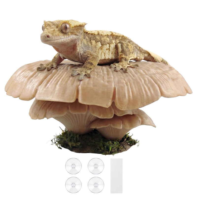 maozyiltle Mushroom Reptile Ledge| Tree Frog Terrarium Tank Accessories, Crested Gecko Tank Accessories, Frog Habitats, Fish Tank Decor, Axolotl Hides| Terrarium Plants Decor| Pet-Safe | 4 Suction Cups (Beige) - Image 1