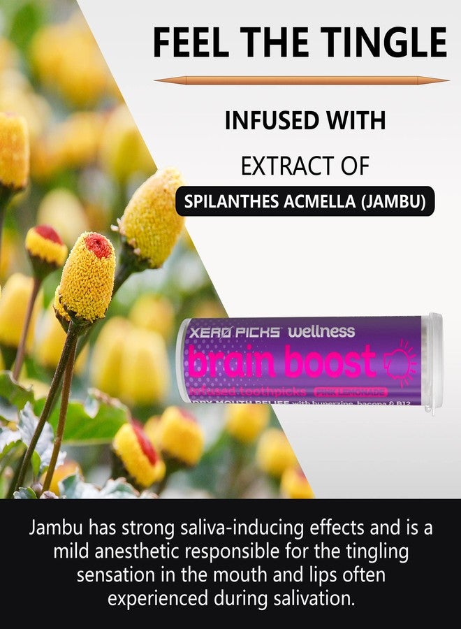 Xero اللقطات زيرو بيكس ويلنس - أعواد أسنان بنكهات متنوعة - للوقاية من جفاف الفم - 60 عودًا - عبوة من 3 قطع - بنكهة الليمون الوردي - لتعزيز وظائف الدماغ - يحتوي على الهوبرزين، والباكوبا، وفيتامين ب12 - Image 4