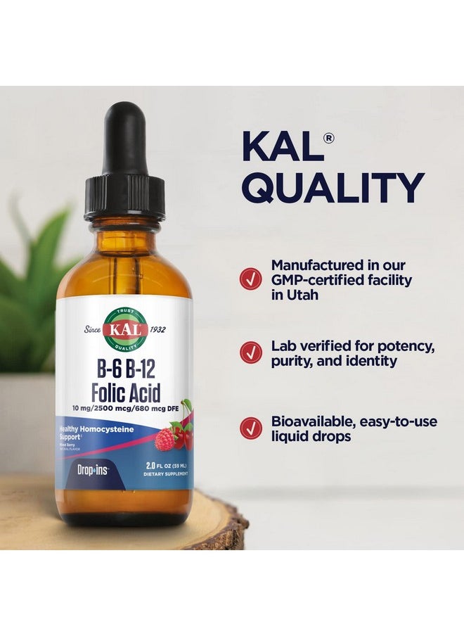 Vitamin B6 B12 Folic Acid Dropins Liquid Vitamin B Supplement Drops Heart Health Energy Red Blood Cell Support With Methyl B12 And Methyl Folate Natural Mixed Berry Flavor 59 Servings 2Oz
