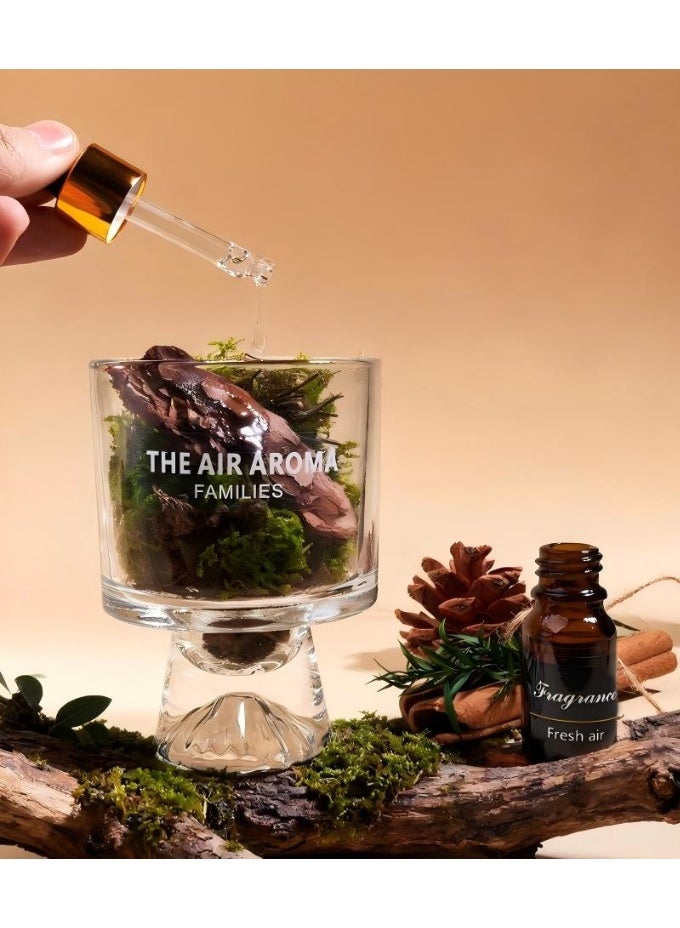 Aromancy Pine Moss Aromatherapy Diffuser Gift Set Natural Moss Glass Aroma Cup with 10ML Essential Oil Decorative Home Fragrance Diffuser for Living Room Office Bedroom Ramadan Gift - Image 1