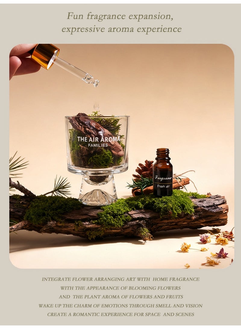 Aromancy Pine Moss Aromatherapy Diffuser Gift Set Natural Moss Glass Aroma Cup with 10ML Essential Oil Decorative Home Fragrance Diffuser for Living Room Office Bedroom Ramadan Gift - Image 2