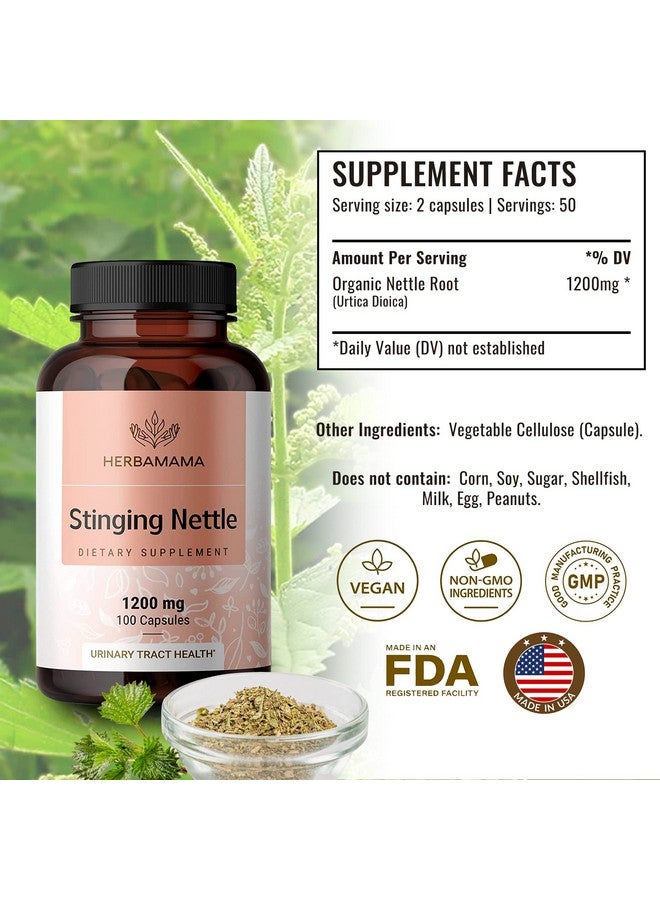 HERBAMAMA Stinging Nettle Root Capsules Organic Stinging Nettle Root Powder Pills Urtica Dioica Herbal Supplement 100 Vegan Caps - Image 3