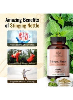 HERBAMAMA Stinging Nettle Root Capsules Organic Stinging Nettle Root Powder Pills Urtica Dioica Herbal Supplement 100 Vegan Caps  - Image 4