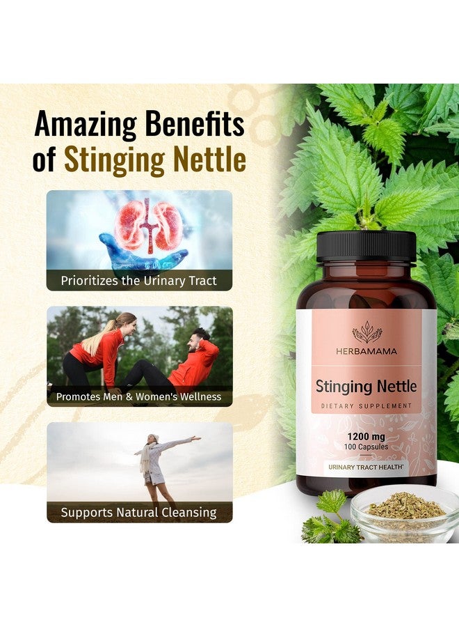 HERBAMAMA Stinging Nettle Root Capsules Organic Stinging Nettle Root Powder Pills Urtica Dioica Herbal Supplement 100 Vegan Caps - Image 4