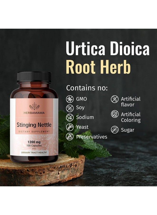 HERBAMAMA Stinging Nettle Root Capsules Organic Stinging Nettle Root Powder Pills Urtica Dioica Herbal Supplement 100 Vegan Caps - Image 5