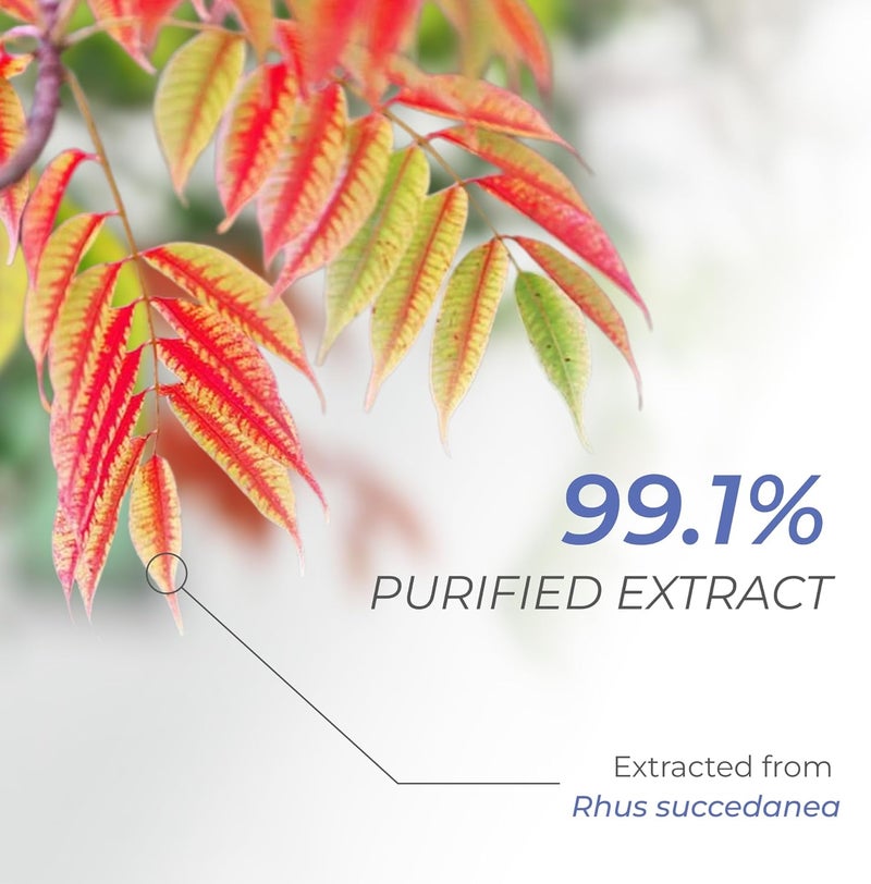 Neurogan مكمل فيستين من نيوروجان 500 ملغ 30 حبة 98% نقي صحة الشيخوخة صحة الدماغ كبسولات فيستين مكملات الدماغ للذاكرة والتركيز دعم السيلوليت بوليفينولات طبيعية غير معدلة وراثيًا - Image 5