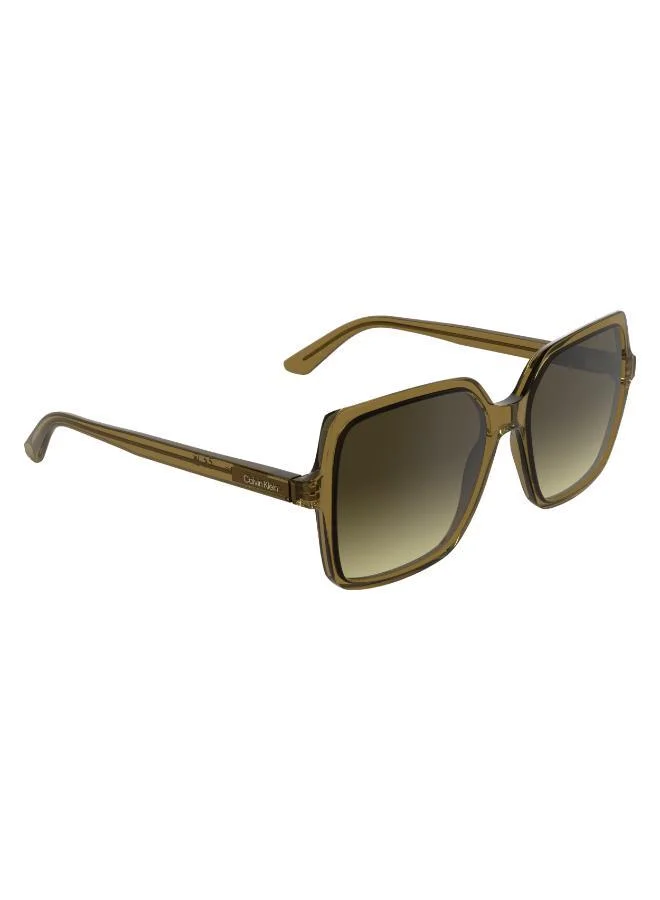 CALVIN KLEIN  Butterfly Sunglasses for Women | Best Price UAE