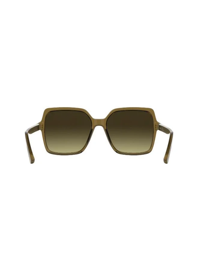 CALVIN KLEIN Butterfly Sunglasses