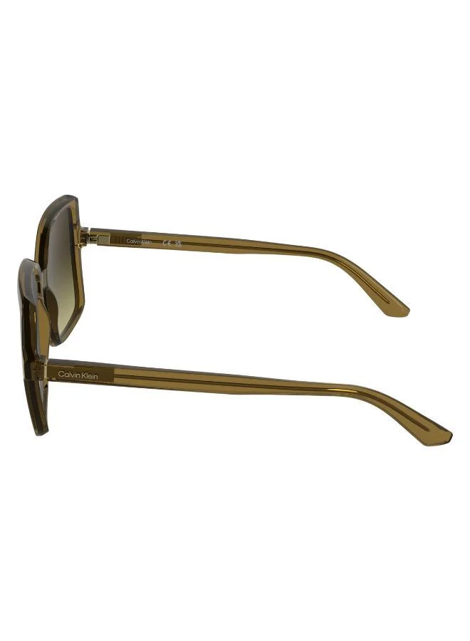 CALVIN KLEIN  Butterfly Sunglasses for Women | Best Price UAE
