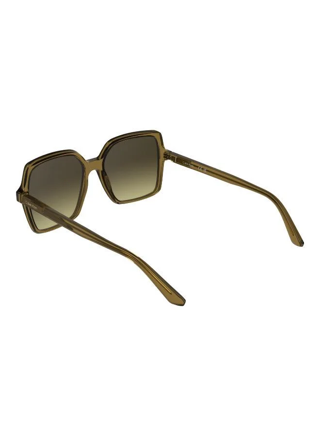 CALVIN KLEIN  Butterfly Sunglasses for Women | Best Price UAE