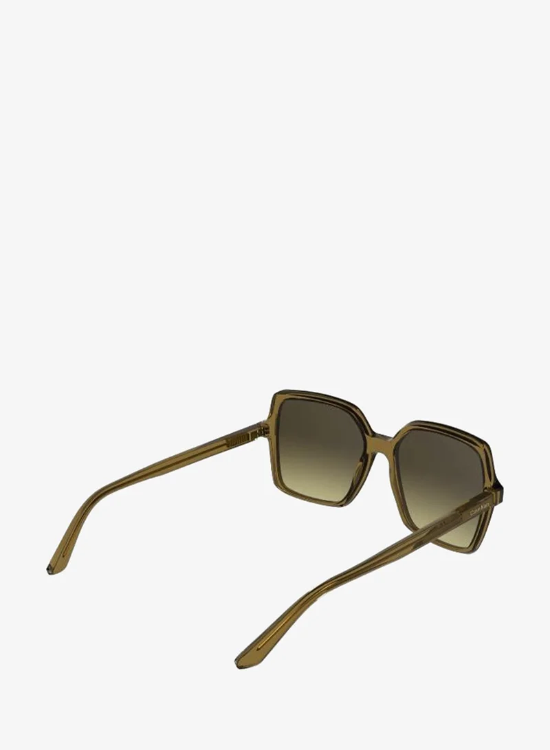 Calvin Klein  Butterfly Sunglasses for Women | Best Price UAE