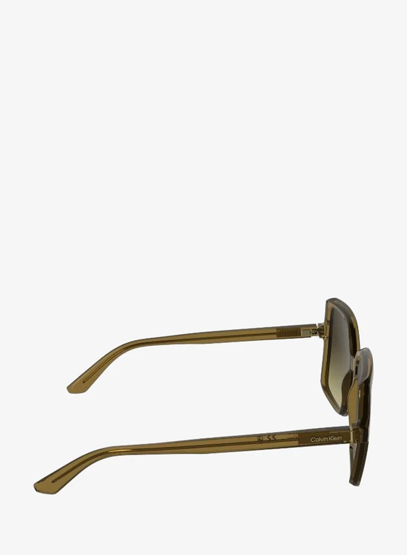 Calvin Klein  Butterfly Sunglasses for Women | Best Price UAE