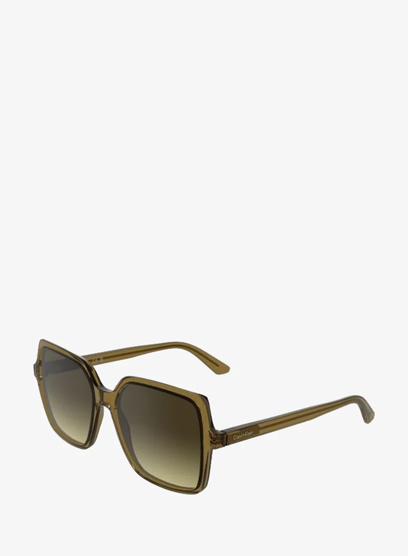 Calvin Klein  Butterfly Sunglasses for Women | Best Price UAE