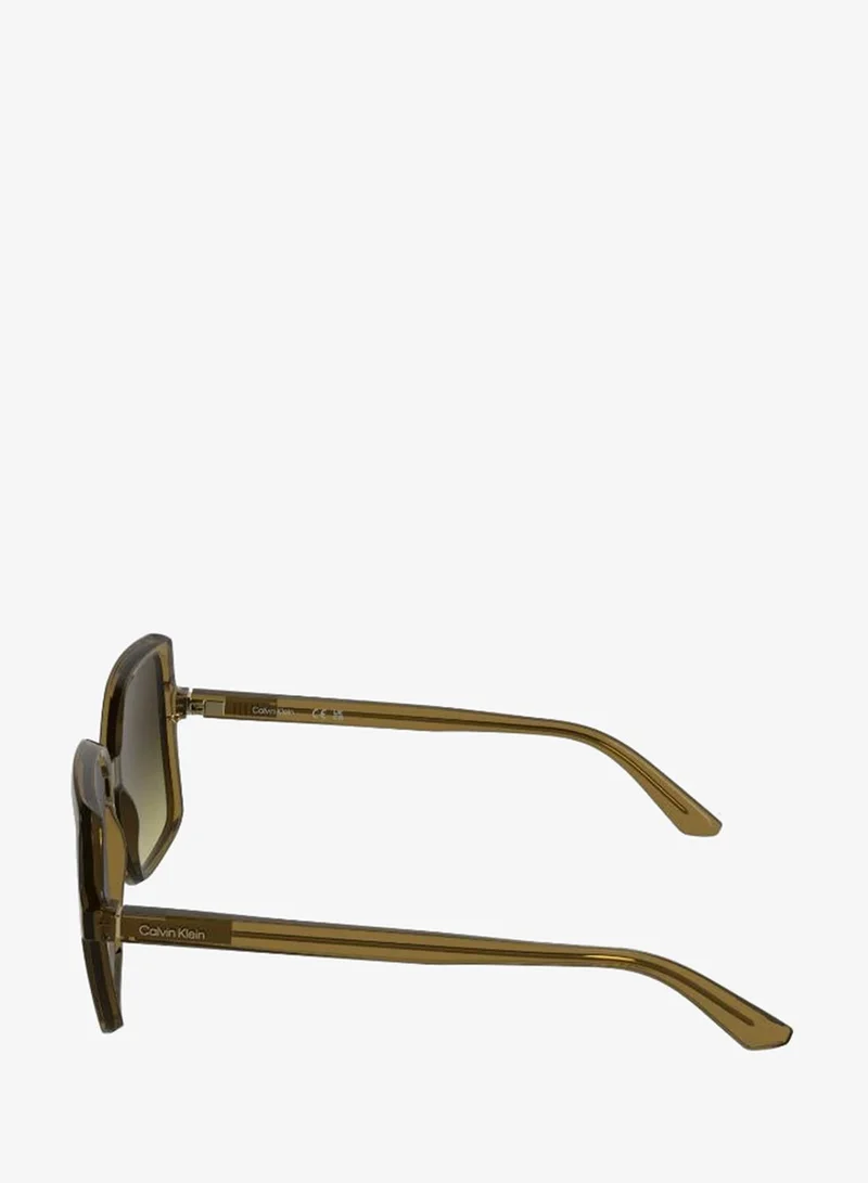 Calvin Klein  Butterfly Sunglasses for Women | Best Price UAE