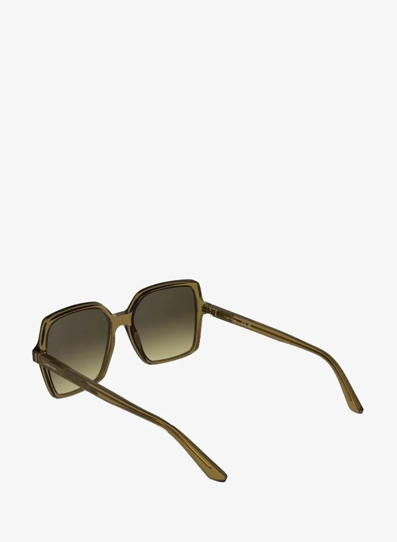 Calvin Klein  Butterfly Sunglasses for Women | Best Price UAE