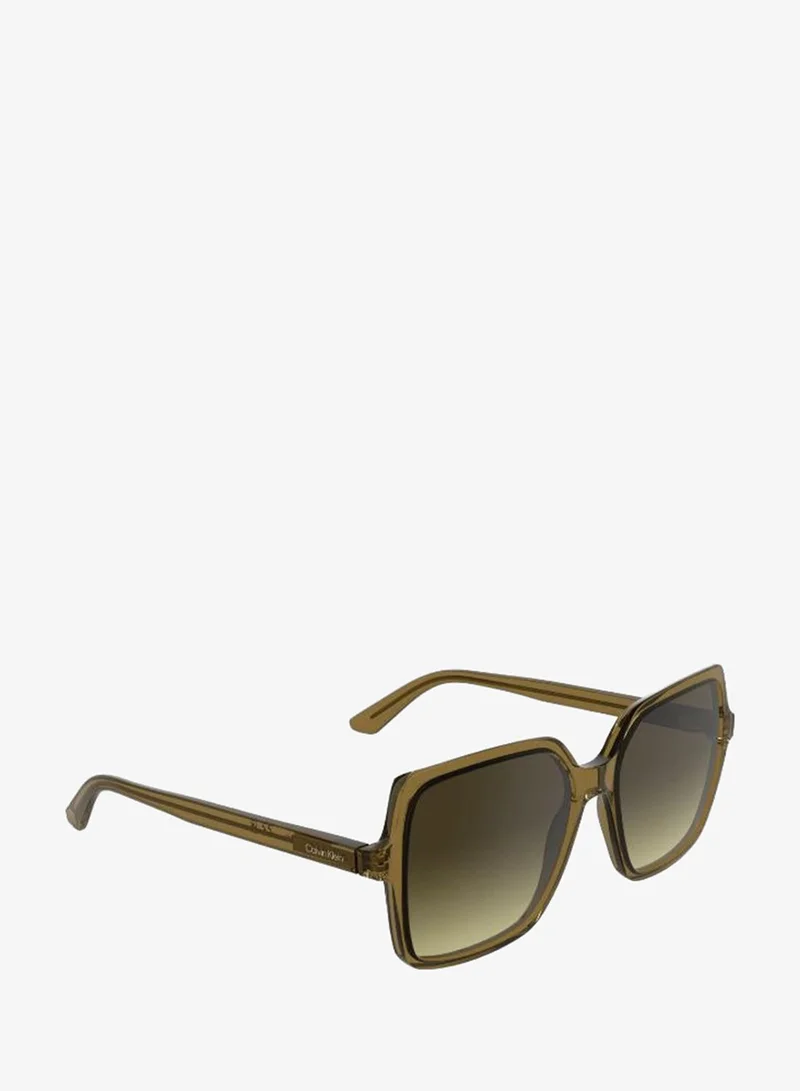 Calvin Klein  Butterfly Sunglasses for Women | Best Price UAE