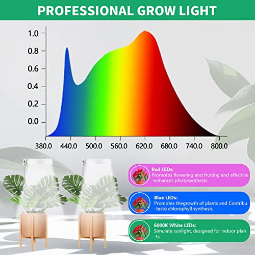 GYTF Halo Plant Grow Light, 6000K White LED Full Spectrum Growing Lamp for Indoor Plants, Succulents, Mini Bonsai, Small Plants, Height Adjustable, Dimmable & Timer 4/8/12/18Hrs - Image 4