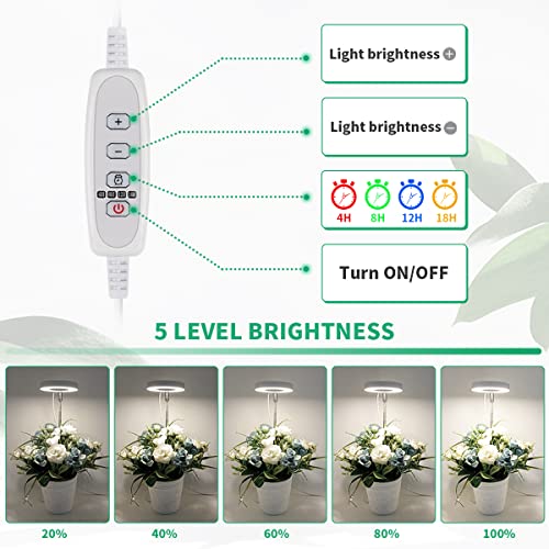 GYTF Halo Plant Grow Light, 6000K White LED Full Spectrum Growing Lamp for Indoor Plants, Succulents, Mini Bonsai, Small Plants, Height Adjustable, Dimmable & Timer 4/8/12/18Hrs - Image 5