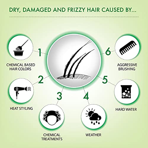 Iba Plant Keratin Hair Shampoo & Conditioner Combo | No Sulfates, No Parabens, High Foaming Formula For Dry Frizzy Damaged Hair - Image 5