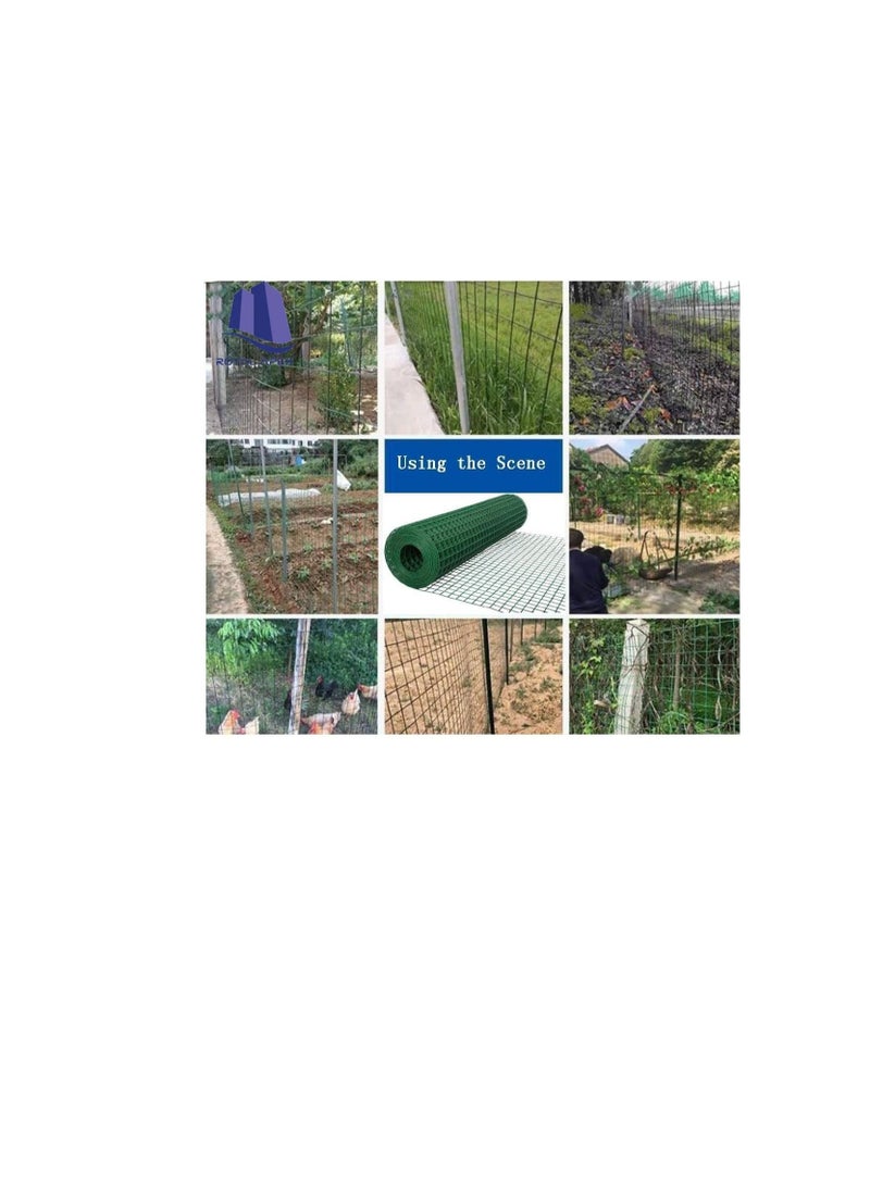 ROBUSTLINE Robustline Wire Mesh Fencing, Galvanized PVC Coated Garden Fencing, Green Steel Nets for Farming Fence, Plant Chicken Wire Fence and Animals Hen-houses Small (3.67 Mtr) (3/4" X 3FT X 12FT X 19MM)  - Image 3