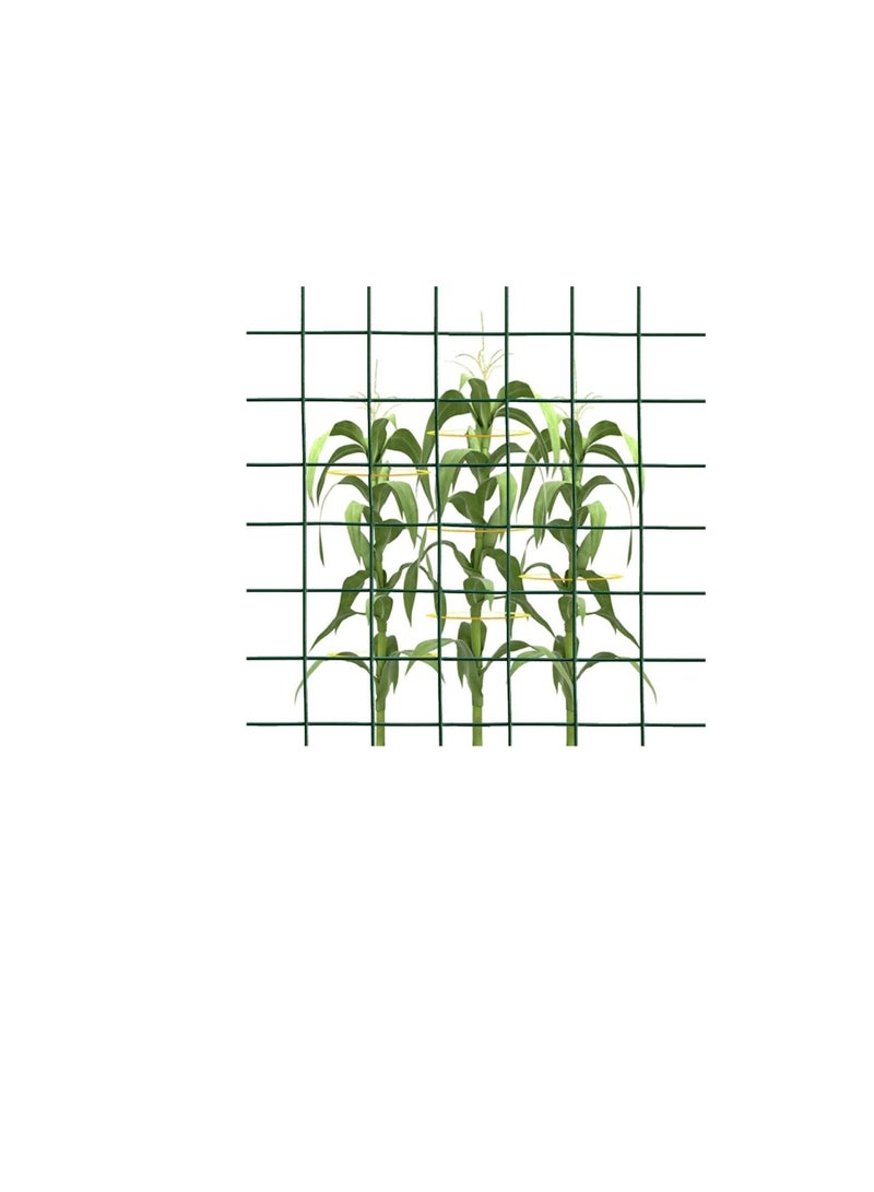 ROBUSTLINE Robustline Wire Mesh Fencing, Galvanized PVC Coated Garden Fencing, Green Steel Nets for Farming Fence, Plant Chicken Wire Fence and Animals Hen-houses Small (3.67 Mtr) (3/4" X 3FT X 12FT X 19MM)  - Image 2