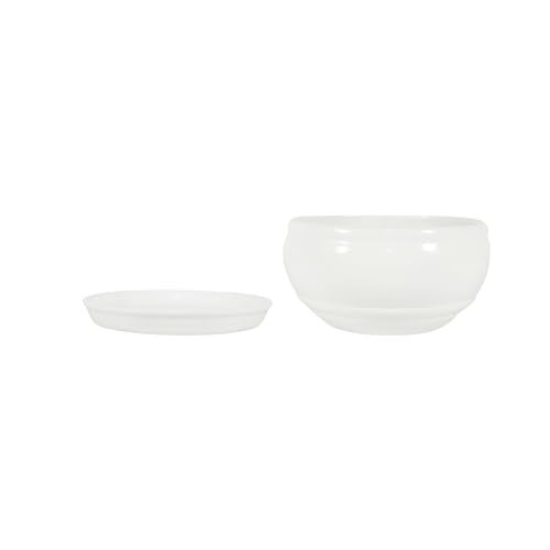 Lasaki Bowl Small White with Plate White_1 R4 Ceramic Pots for Indoor Plants,Planters,gamla,Outdoor,Balcony,Home,Garden,Decor,Succulent(Bowl-H-8cmXD-15cm,Plate-H-2XD-13cm)(Plants not Included) - Image 5