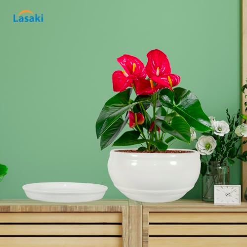 Lasaki Bowl Small White with Plate White_1 R4 Ceramic Pots for Indoor Plants,Planters,gamla,Outdoor,Balcony,Home,Garden,Decor,Succulent(Bowl-H-8cmXD-15cm,Plate-H-2XD-13cm)(Plants not Included) - Image 4
