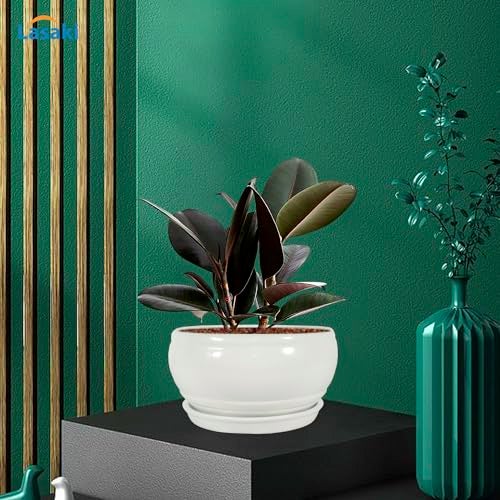 Lasaki Bowl Small White with Plate White_1 R4 Ceramic Pots for Indoor Plants,Planters,gamla,Outdoor,Balcony,Home,Garden,Decor,Succulent(Bowl-H-8cmXD-15cm,Plate-H-2XD-13cm)(Plants not Included) - Image 3