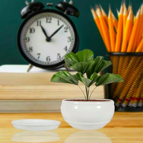 Lasaki Bowl Small White with Plate White_1 R4 Ceramic Pots for Indoor Plants,Planters,gamla,Outdoor,Balcony,Home,Garden,Decor,Succulent(Bowl-H-8cmXD-15cm,Plate-H-2XD-13cm)(Plants not Included) - Image 1