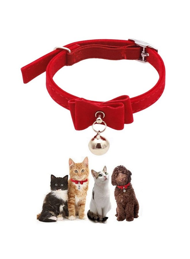 HASTHIP حزام قطط HASTHIP® قابل للتعديل، مشبك قوي قابل للفصل، طوق قطط مع جرس، حزام عنق مخملي للقطط الصغيرة والمتوسطة، الأمان والراحة 33.5 سم - أحمر (عبوة من 1) - Image 1