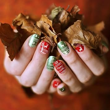 Whaline Christmas Nail Art Plates Santa Reindeer Snowflake Image Stamp Templates Stamping Kit 6 Manicure Stencils Tool Set with 1 Polish Stamper and 1 Scraper by Salon Designs - Image 5