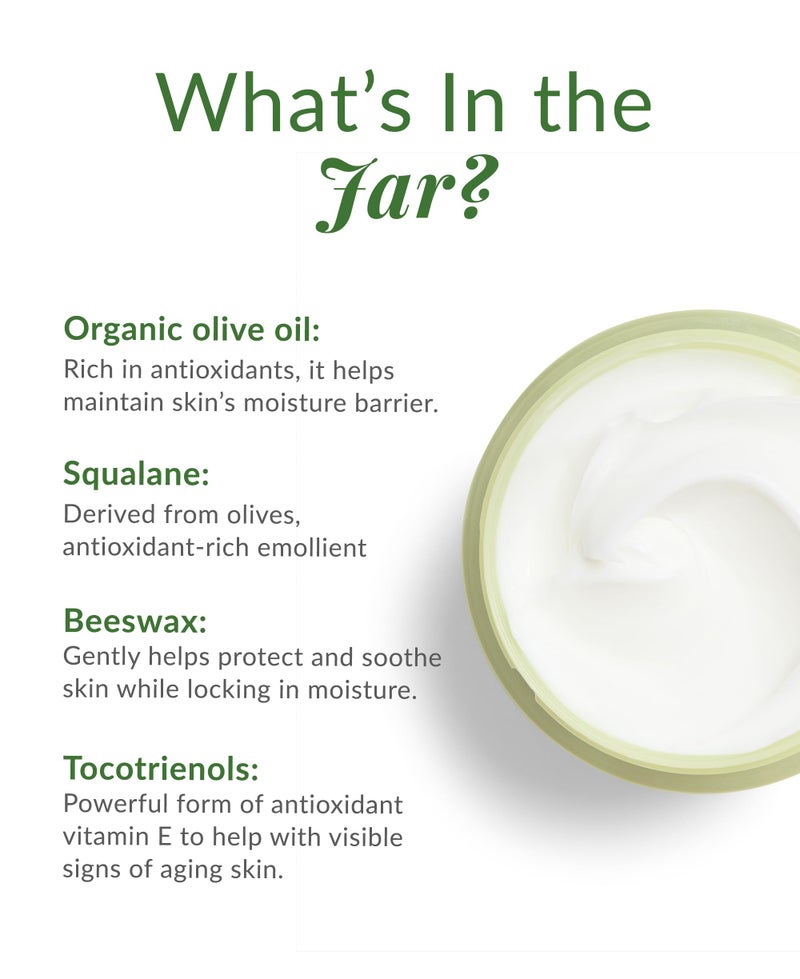 DHC Olive Virgin Oil Essential Cream, Moisturizer, Hydrating, Promotes Skin Elasticity, Radiant, Fragrance and Colorant Free, Ideal for All Skin Types, 1.7 oz. Net wt. - Image 3