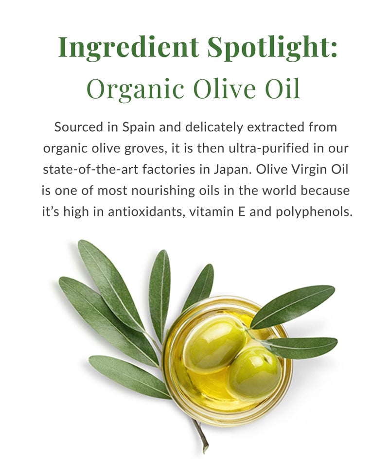 DHC Olive Virgin Oil Essential Cream, Moisturizer, Hydrating, Promotes Skin Elasticity, Radiant, Fragrance and Colorant Free, Ideal for All Skin Types, 1.7 oz. Net wt. - Image 4