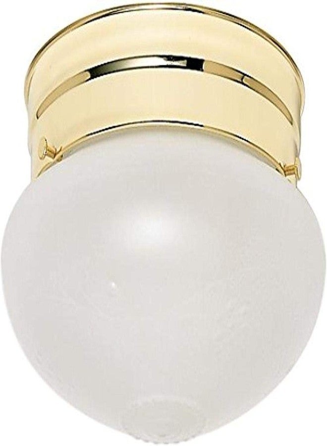 Nuvo Lighting SF77/123 مصباح واحد بتصميم فطر