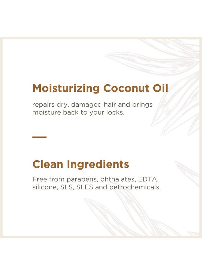 سوب بوكس شامبو زيت جوز الهند من Soapbox، خالي من الكبريتات والبارابين والسيليكون وآمن على اللون وشامبو للشعر النباتي (33.8 أونصة) - Image 3