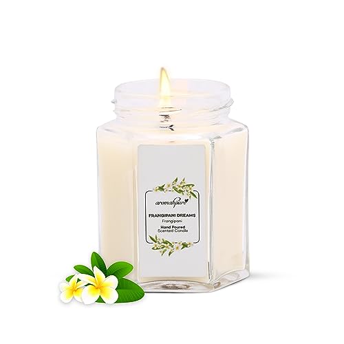 Aromahpure Scented Candle (48 hrs) (100% Soy Wax)- Handcrafted | Smoke-Free |Frangipani Dream- Frangipani Fragrance Candles for Home & Gift Sets - Image 1