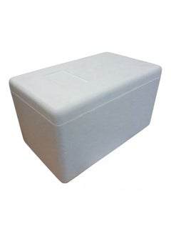 Generic Ice Box Heat and Cold Resistance Chiller Box 51L * 21H * 34W cm  - Image 1