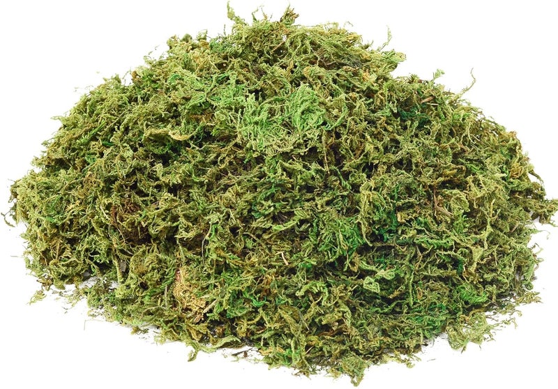 الطحالب الاصطناعية للزينة، طحالب اصطناعية للنباتات المحفوظة في أصص، طحا��ب خضراء (4 أونصة)، ديكور منزلي، حرف حدائق الجنيات، زينة حفلات الزفاف (أخضر نضر) - Image 1