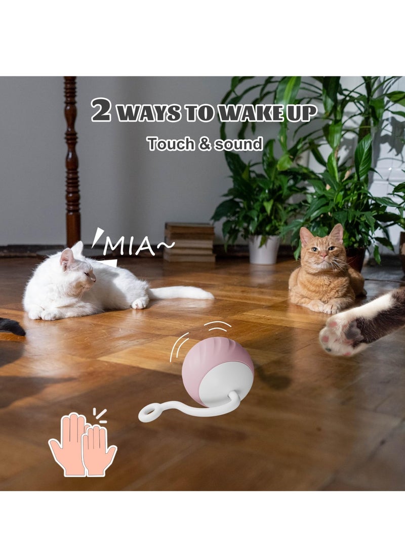 Cat Toy, Interactive Cat Toys for Indoor Cats, DIY 5 in 1 Automatic Moving Cat Ball Toys/Puppies Toys with LED Rainbow Lights, Two Speeds Smart Cat Toys - Image 3